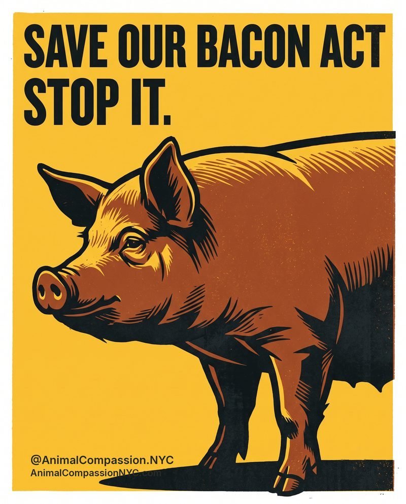 Take Action Tuesday post — July 21, 2026