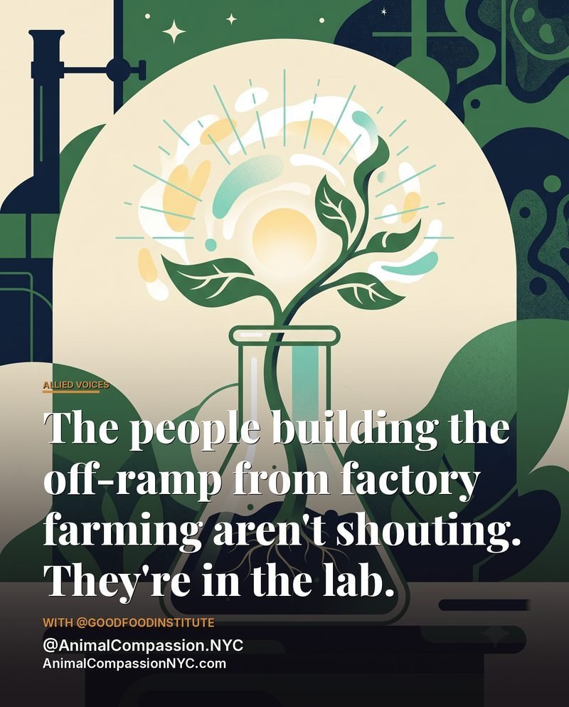 Allied Voices post — July 30, 2026