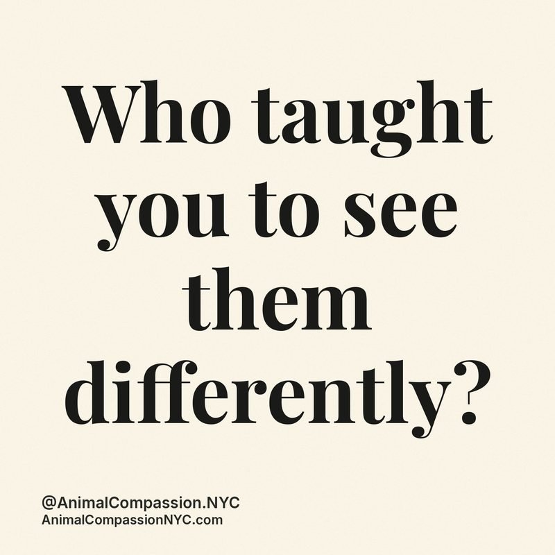 Reflection post — August 2, 2026