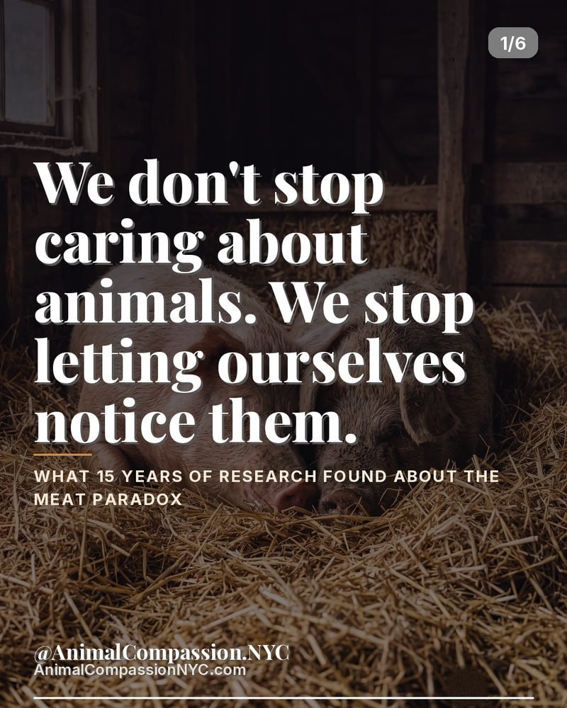 The Science of Compassion post — August 17, 2026